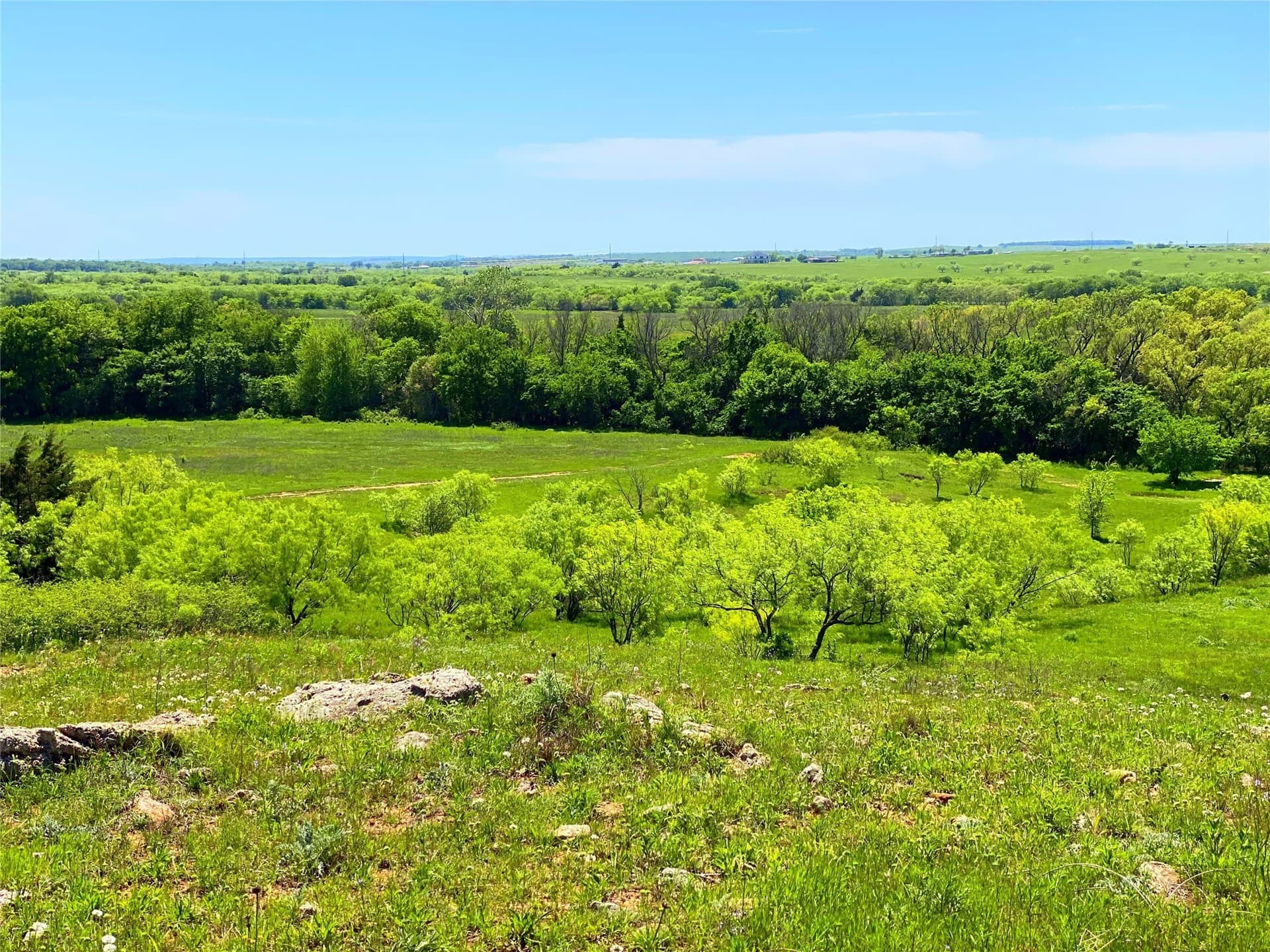 275 acres in Montague County gallery image 2