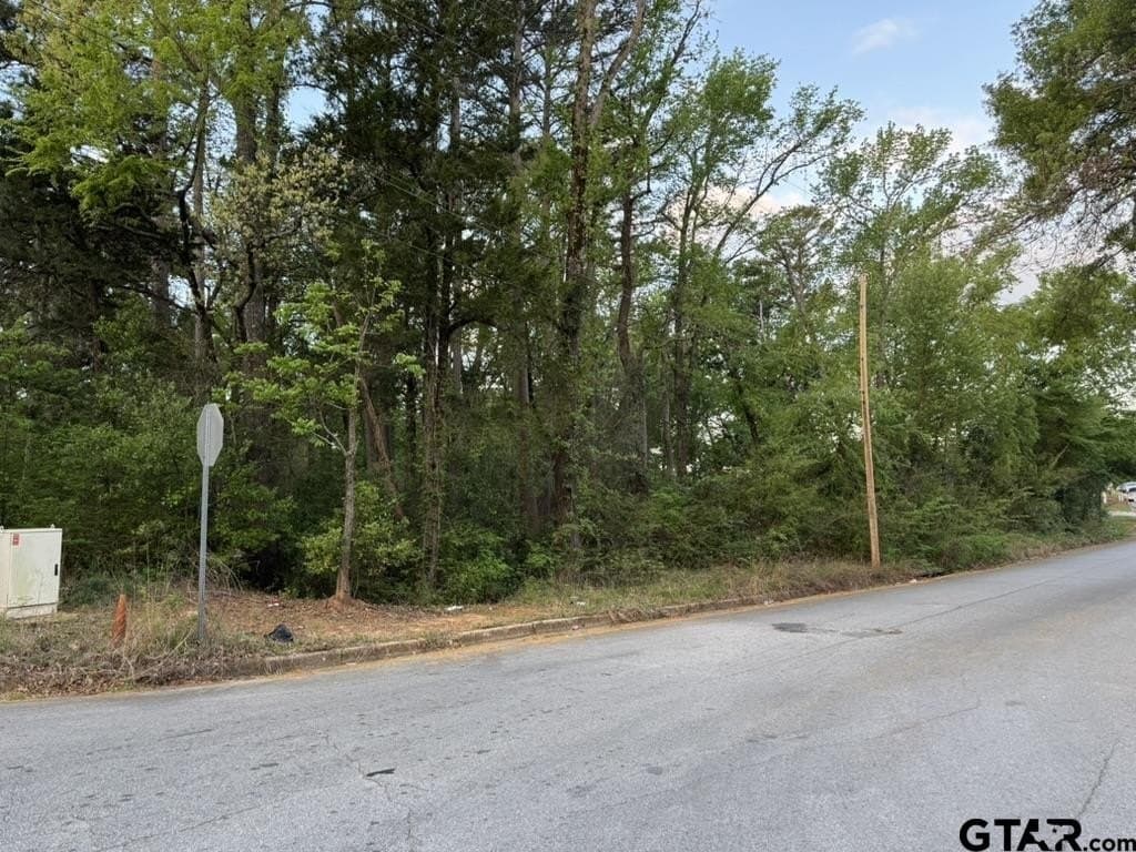 0.21 acres in Smith County - photo 2