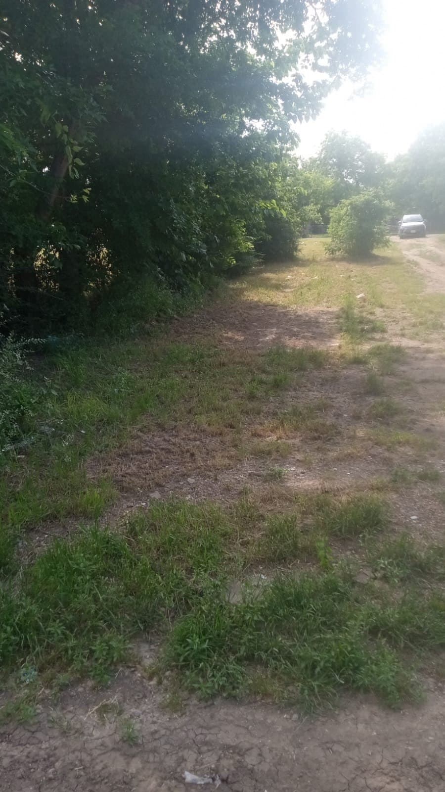 0.17 acres in Dallas County gallery image 2