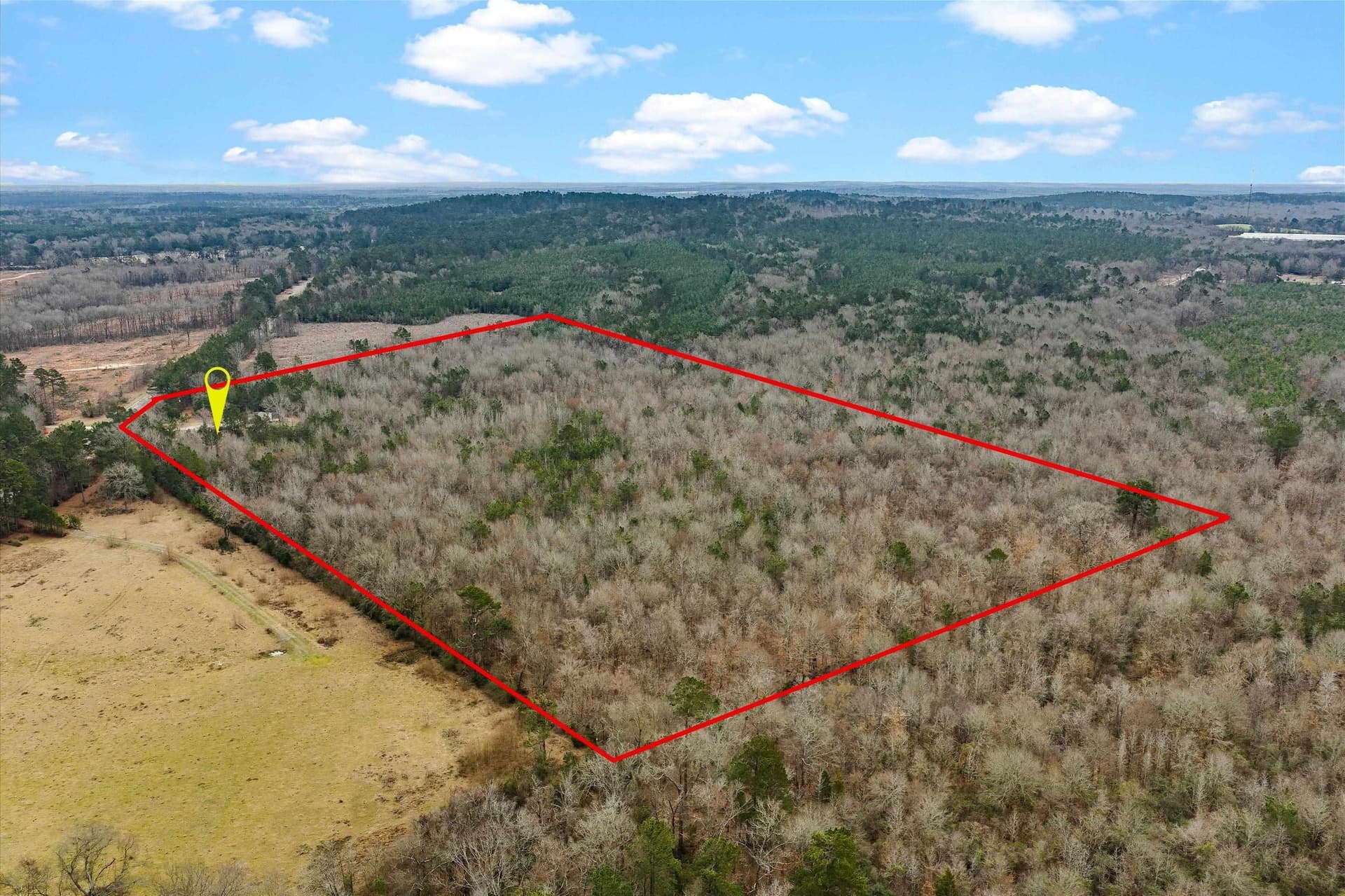 37.8 acres in Shelby County gallery image 4