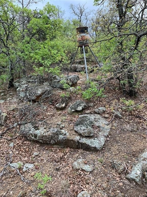 43 acres in Young County featured view