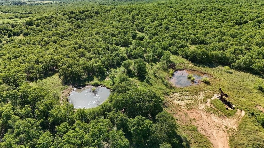 43 acres in Young County gallery image 3