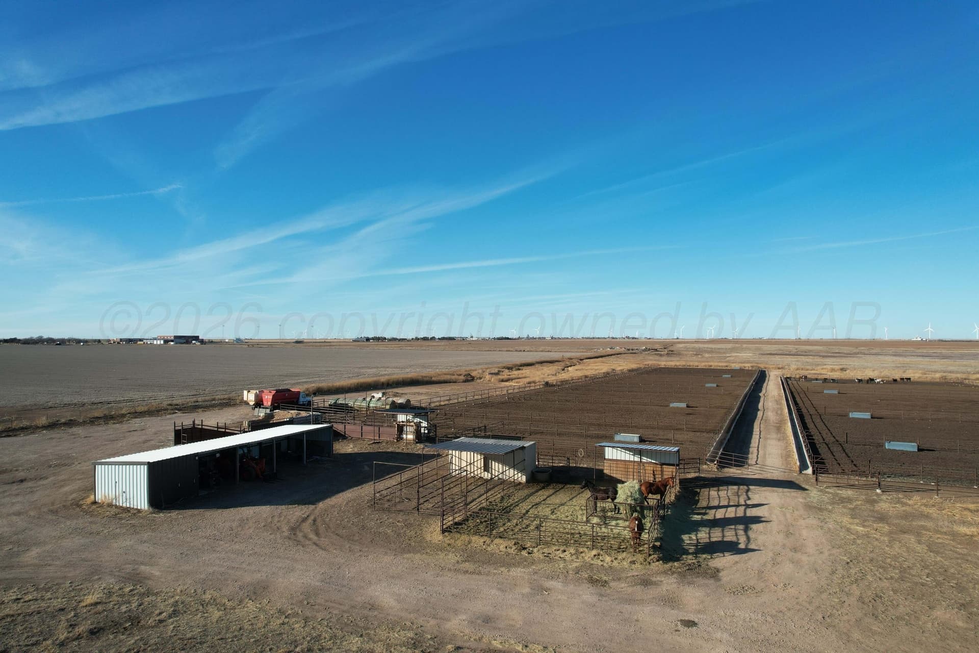 20 acres in Deaf Smith County gallery image 4