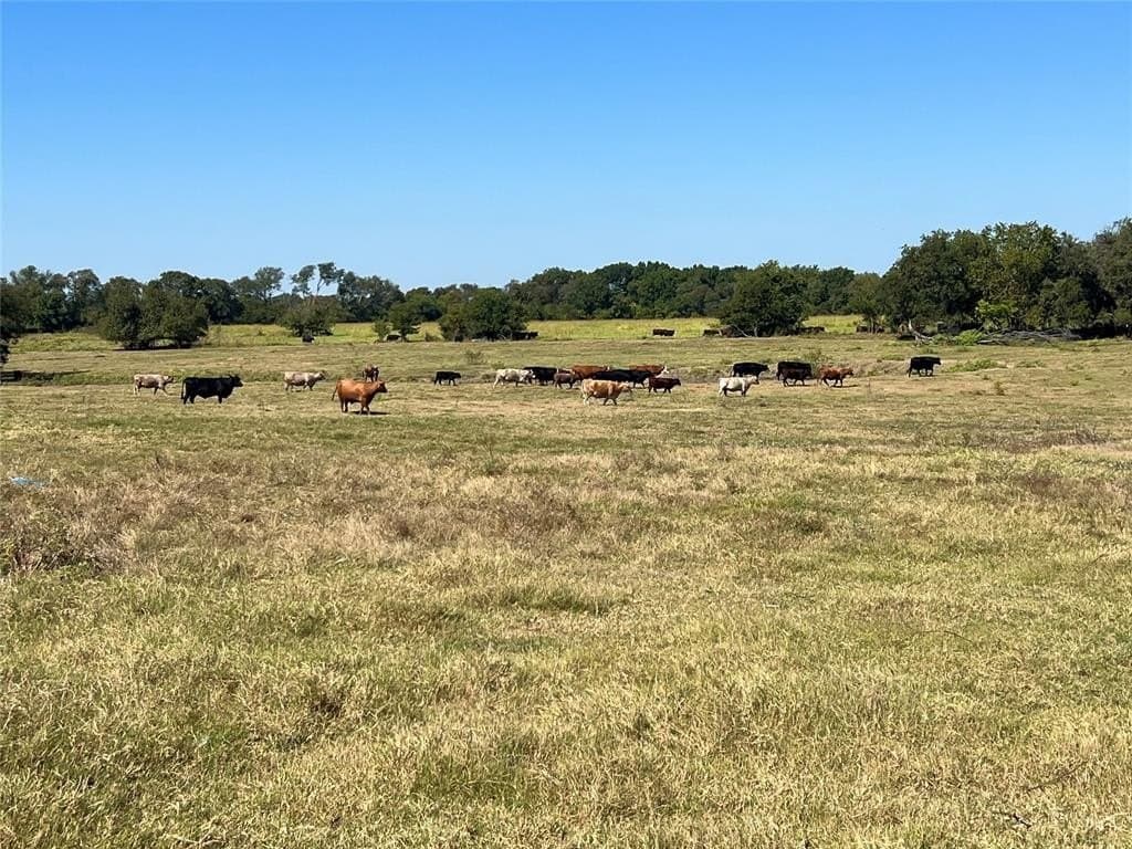 1,368 acres in Ellis County