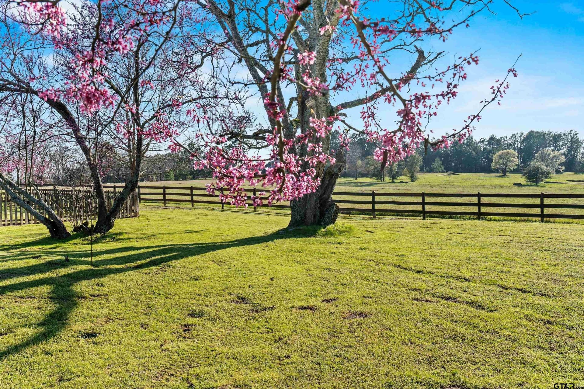 100 acres in Rusk County - photo 28