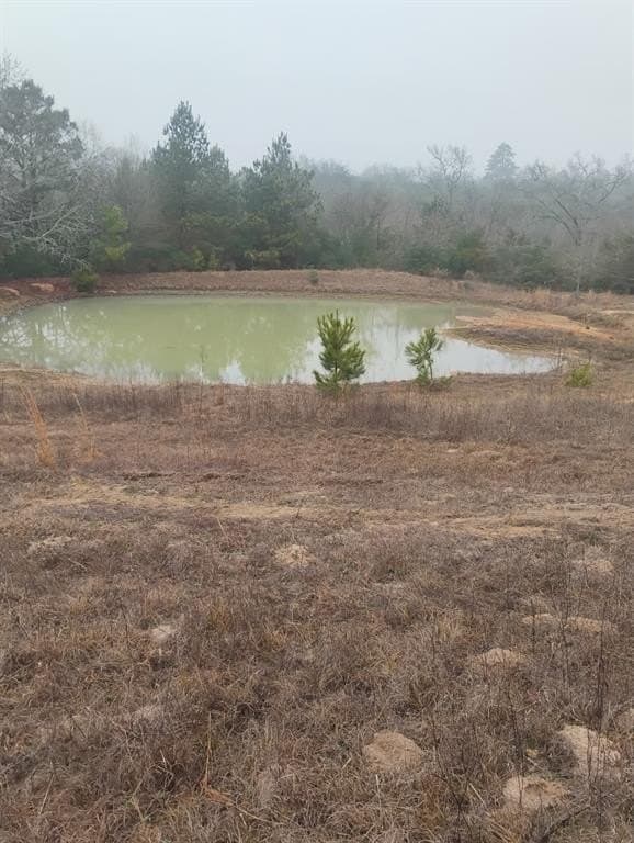 78 acres in Leon County