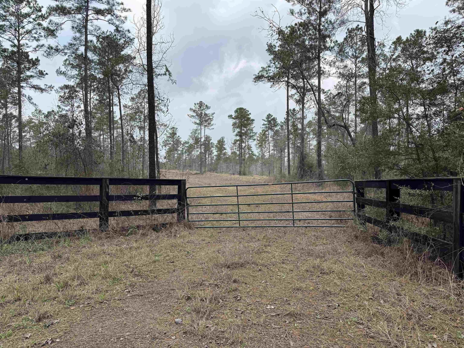 90 acres in Texas County