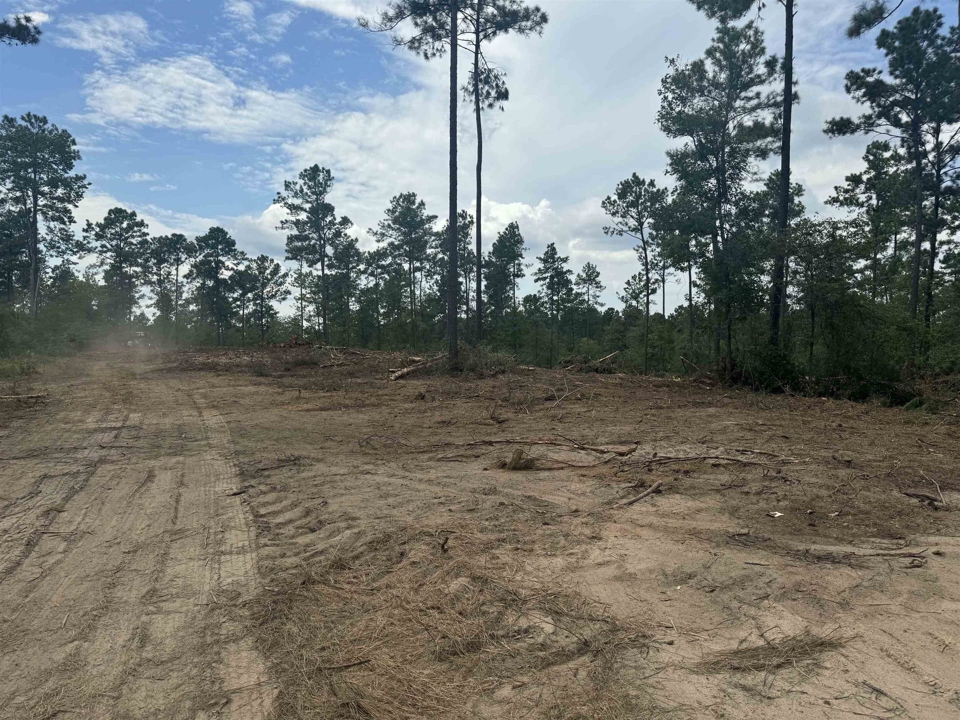 90 acres in Texas County featured view