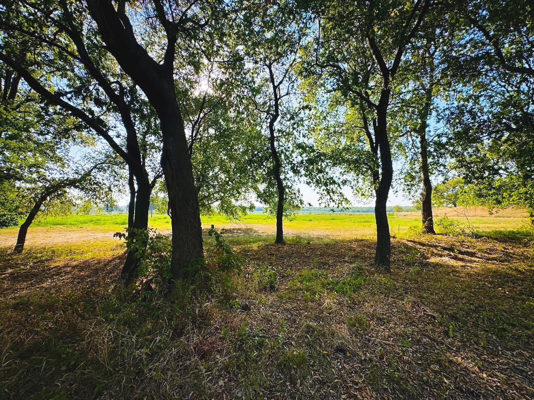 13.42 acres in Collin County - photo 10