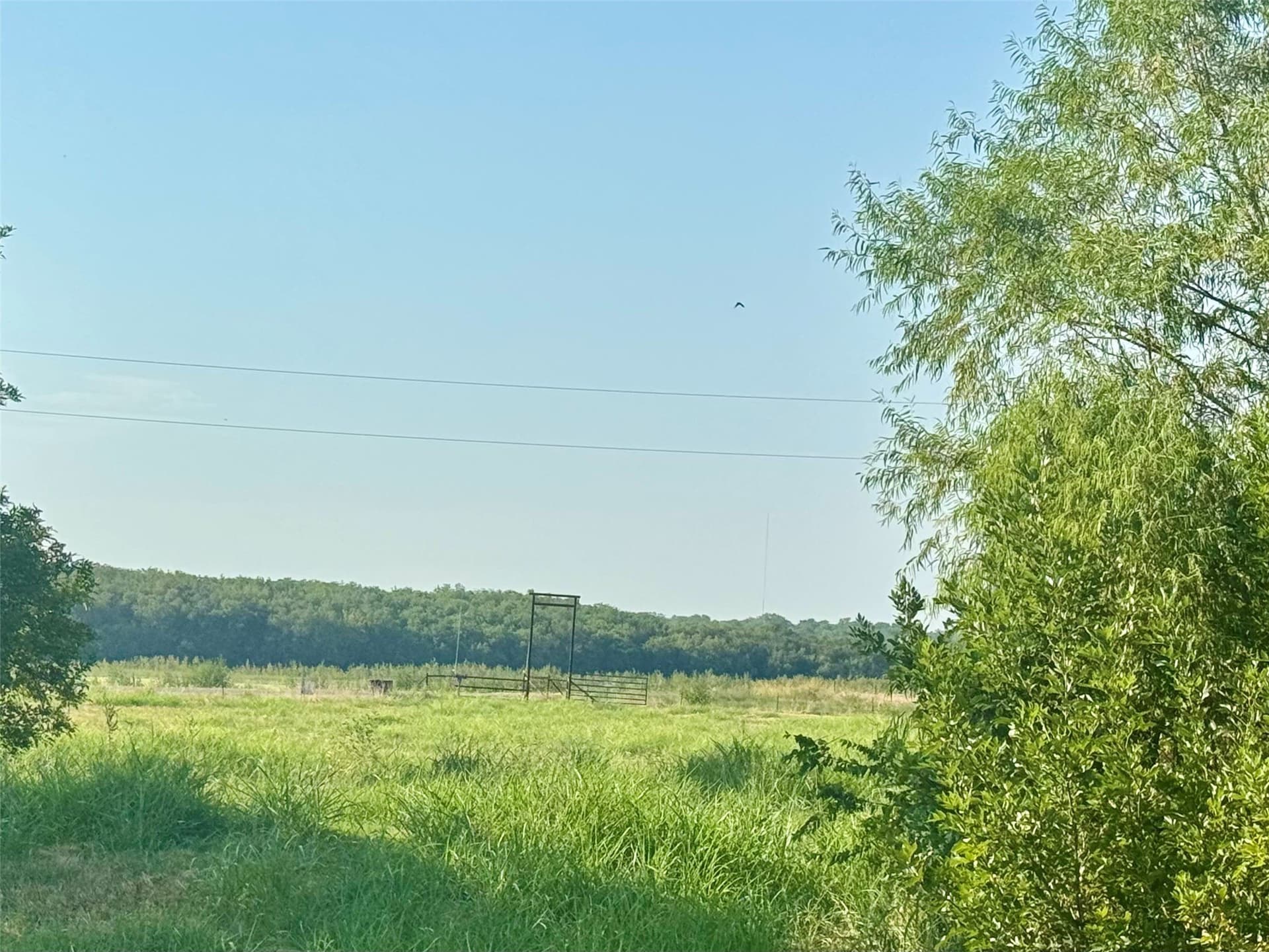 13.42 acres in Collin County - photo 18