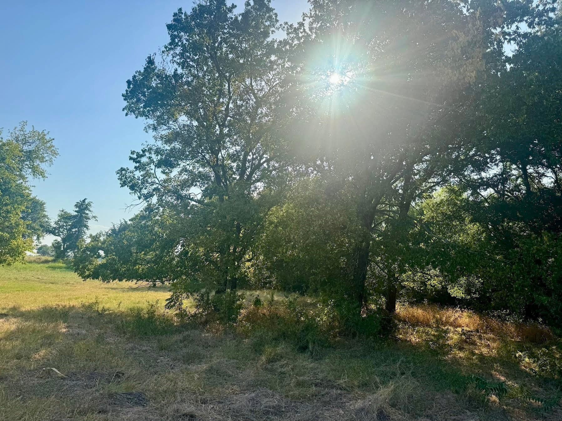 13.42 acres in Collin County - photo 20