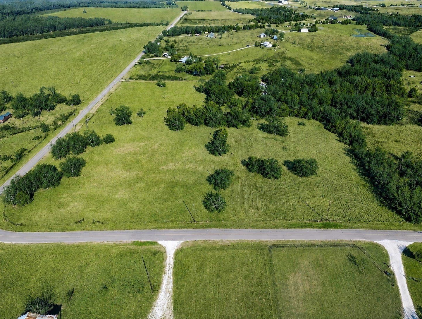13.42 acres in Collin County - photo 16