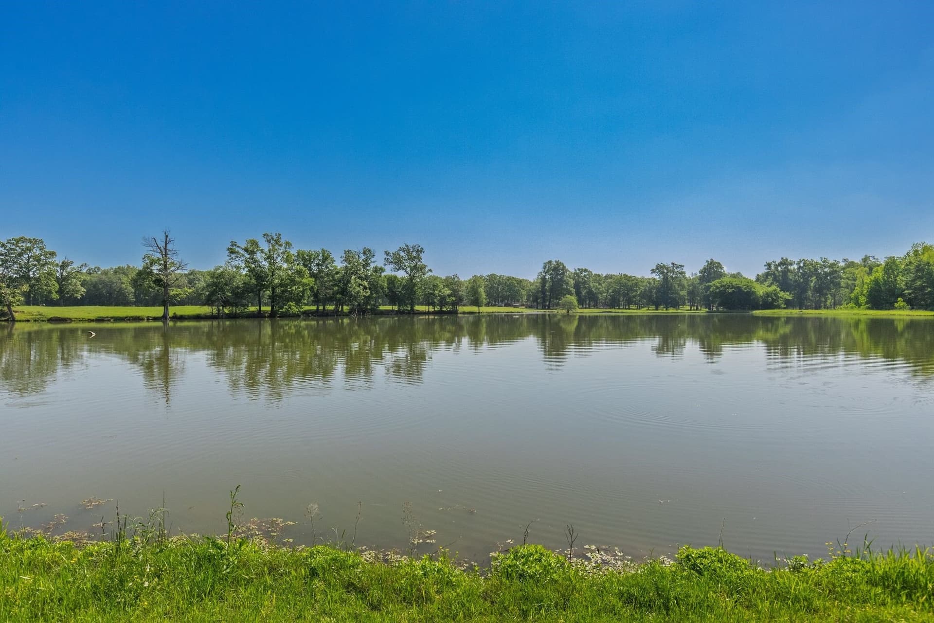 407.79 acres in Hopkins County - photo 39