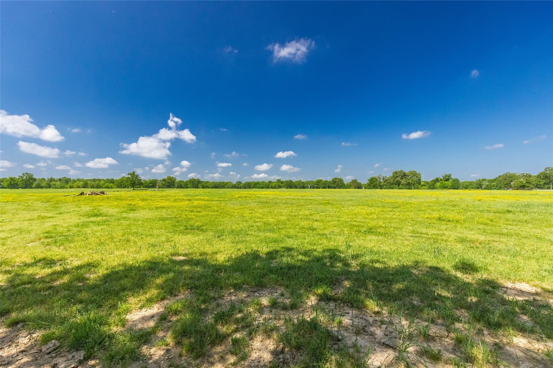 407.79 acres in Hopkins County gallery image 2
