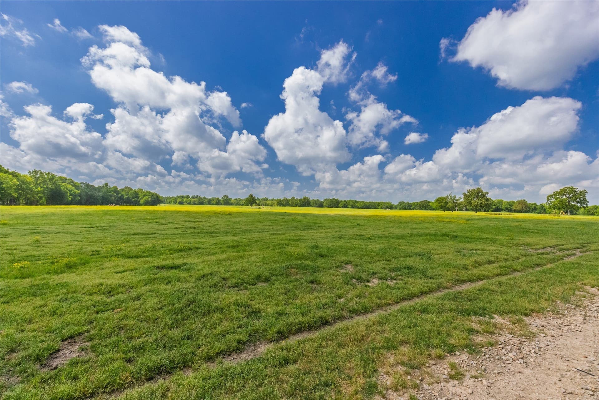 407.79 acres in Hopkins County gallery image 3