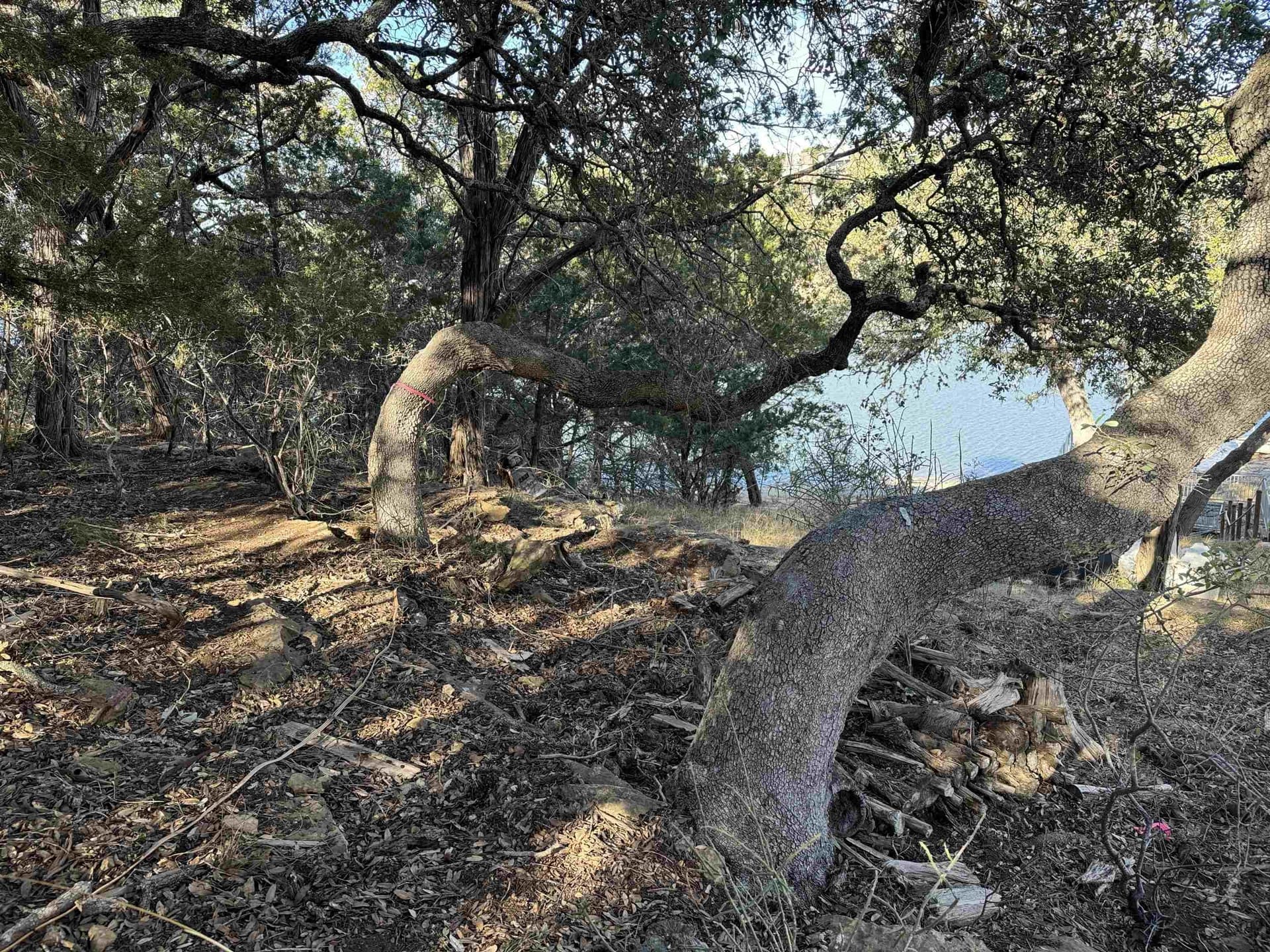 0.76 acres in Burnet County - photo 15