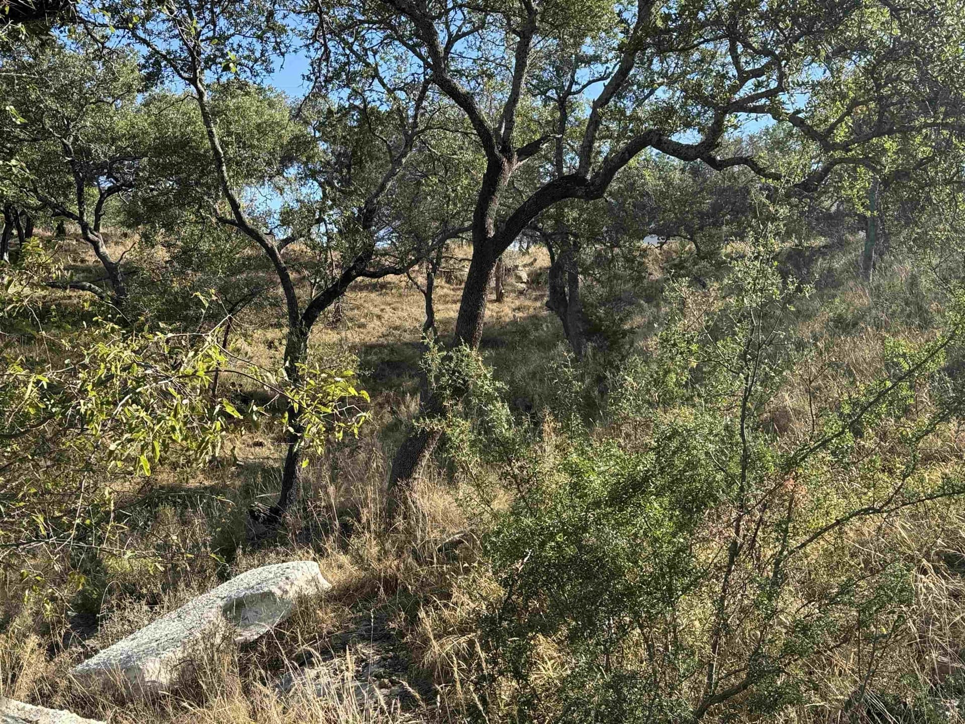0.76 acres in Burnet County - photo 14