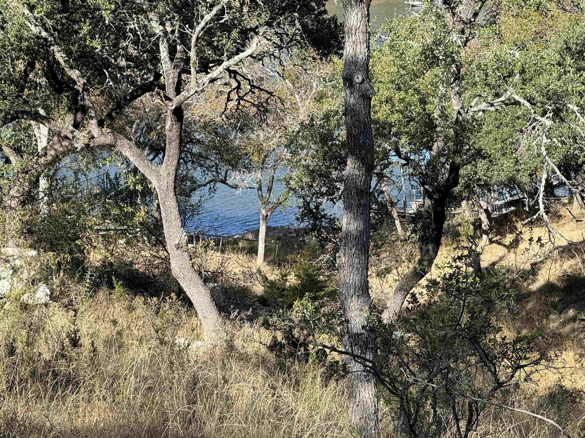 0.76 acres in Burnet County featured view