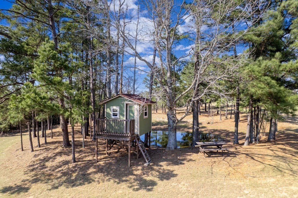 40 acres in ANDERSON County - photo 43