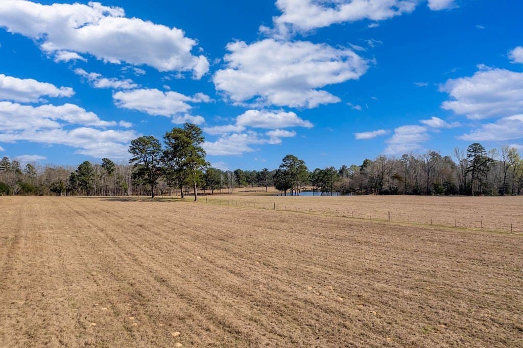 40 acres in ANDERSON County - photo 42