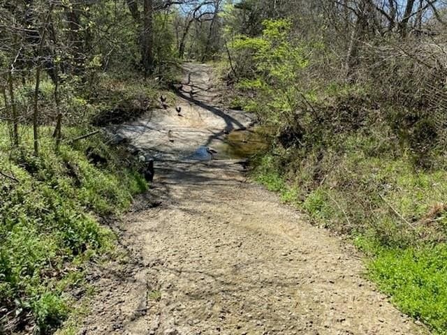 15.5 acres in Grayson County gallery image 2