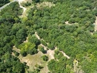 15.5 acres in Grayson County gallery image 3