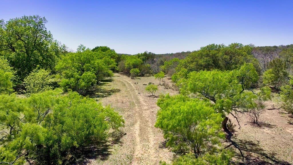 1,263.95 acres in Mason County - photo 27