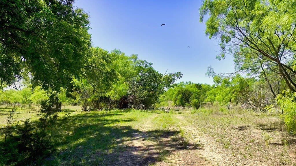 1,263.95 acres in Mason County - photo 23