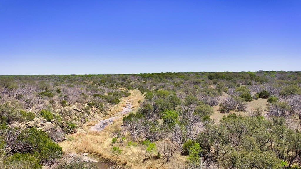 1,263.95 acres in Mason County - photo 10