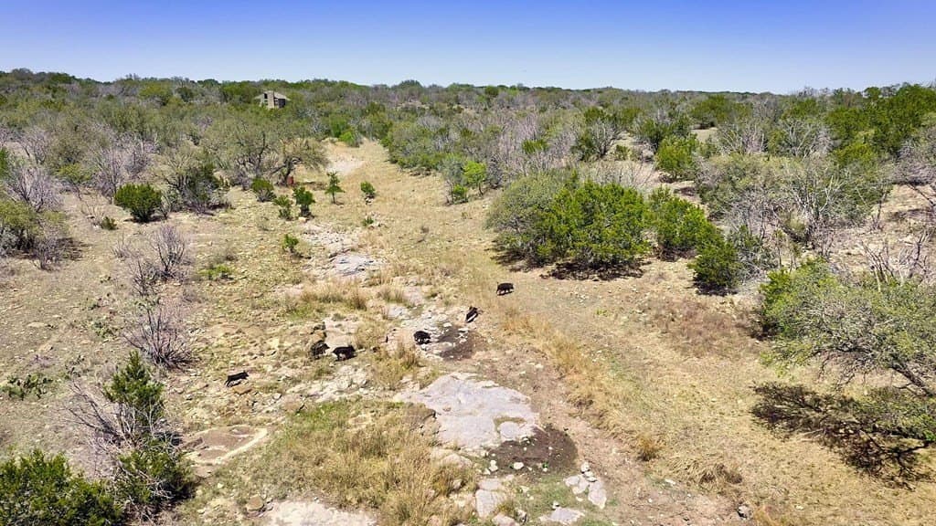 1,263.95 acres in Mason County - photo 40