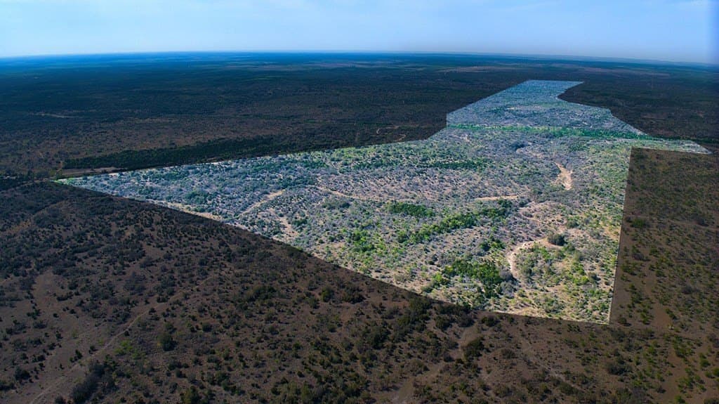 1,263.95 acres in Mason County - photo 46