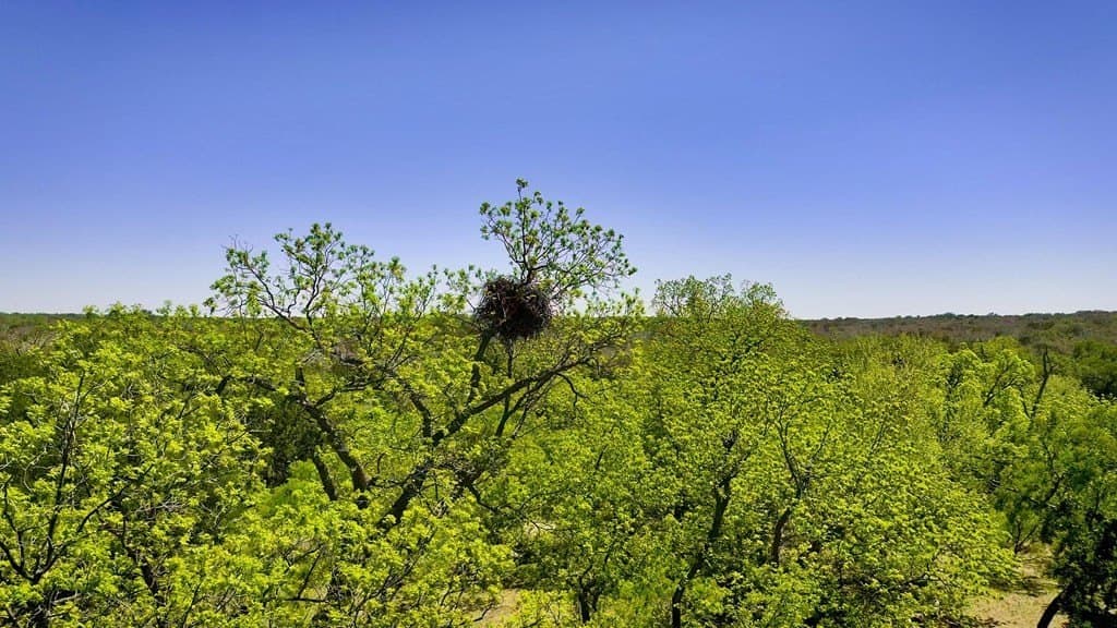 1,263.95 acres in Mason County - photo 22