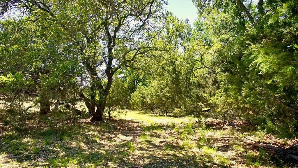1,263.95 acres in Mason County - photo 24