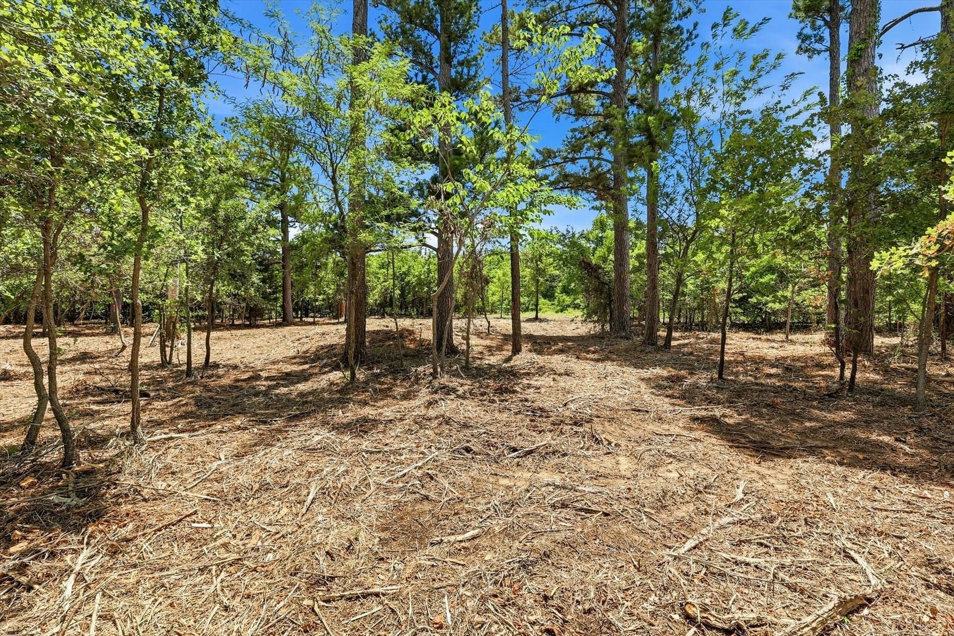 1.06 acres in Denton County - photo 7