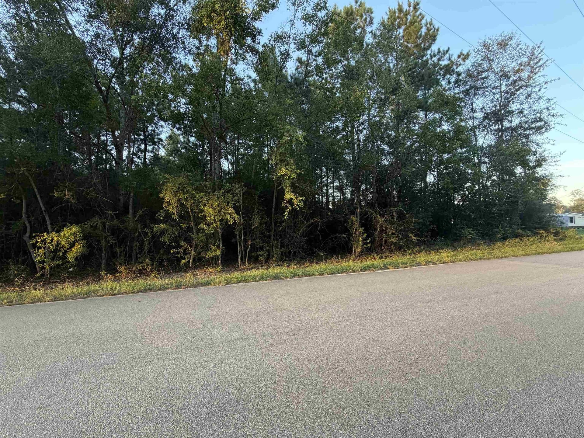 12 acres in Texas County