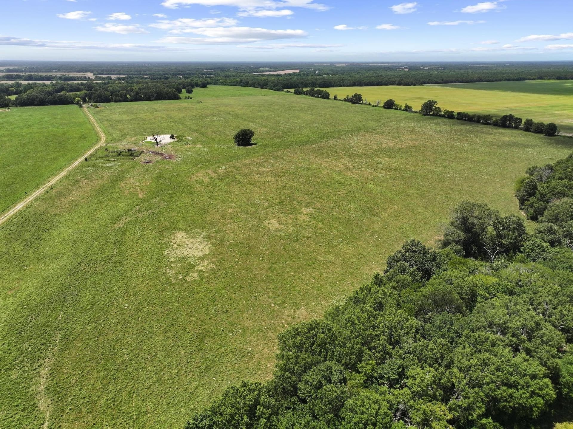 227.1 acres in Red River (TX) County - photo 8