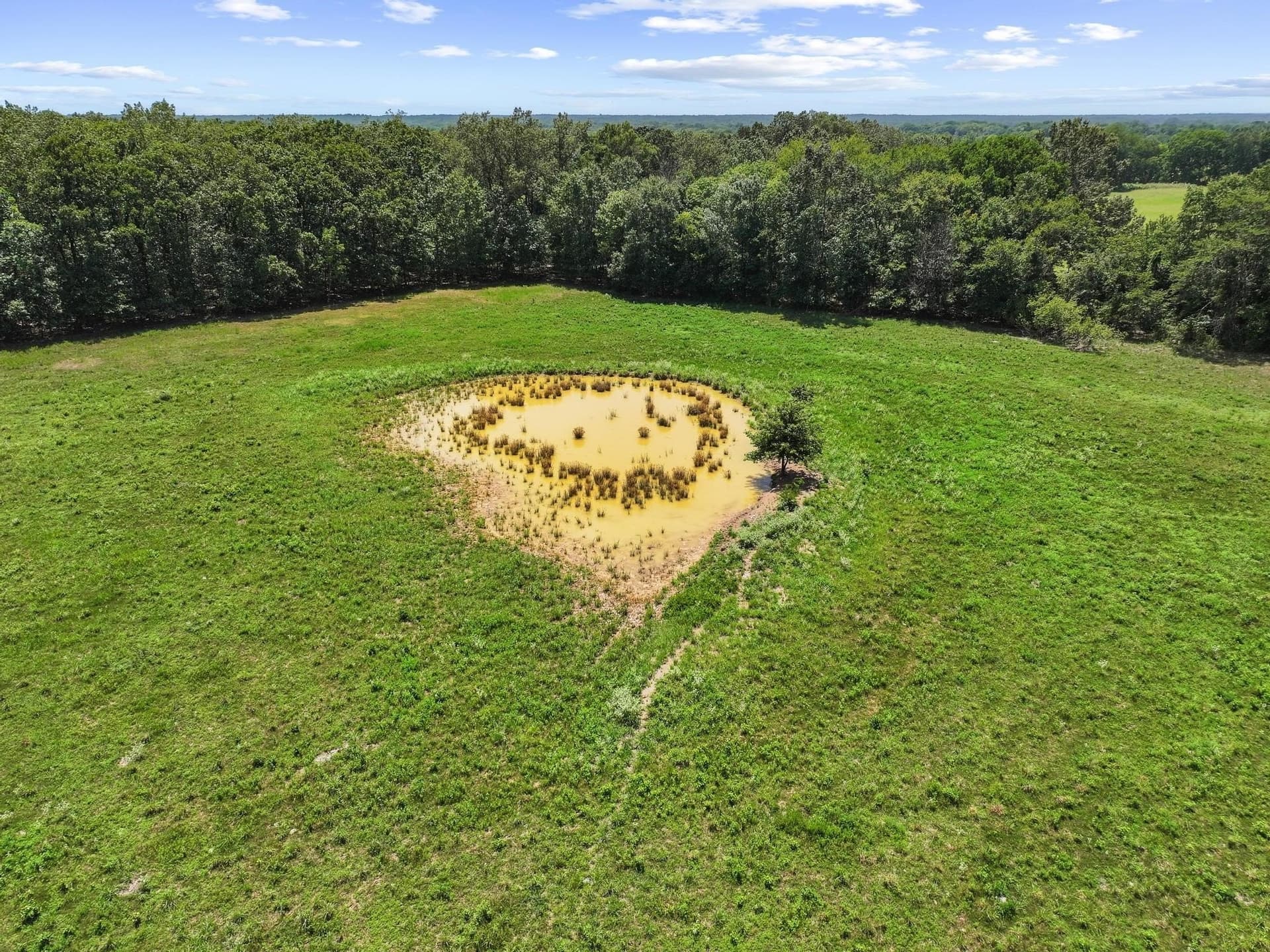 227.1 acres in Red River (TX) County - photo 15