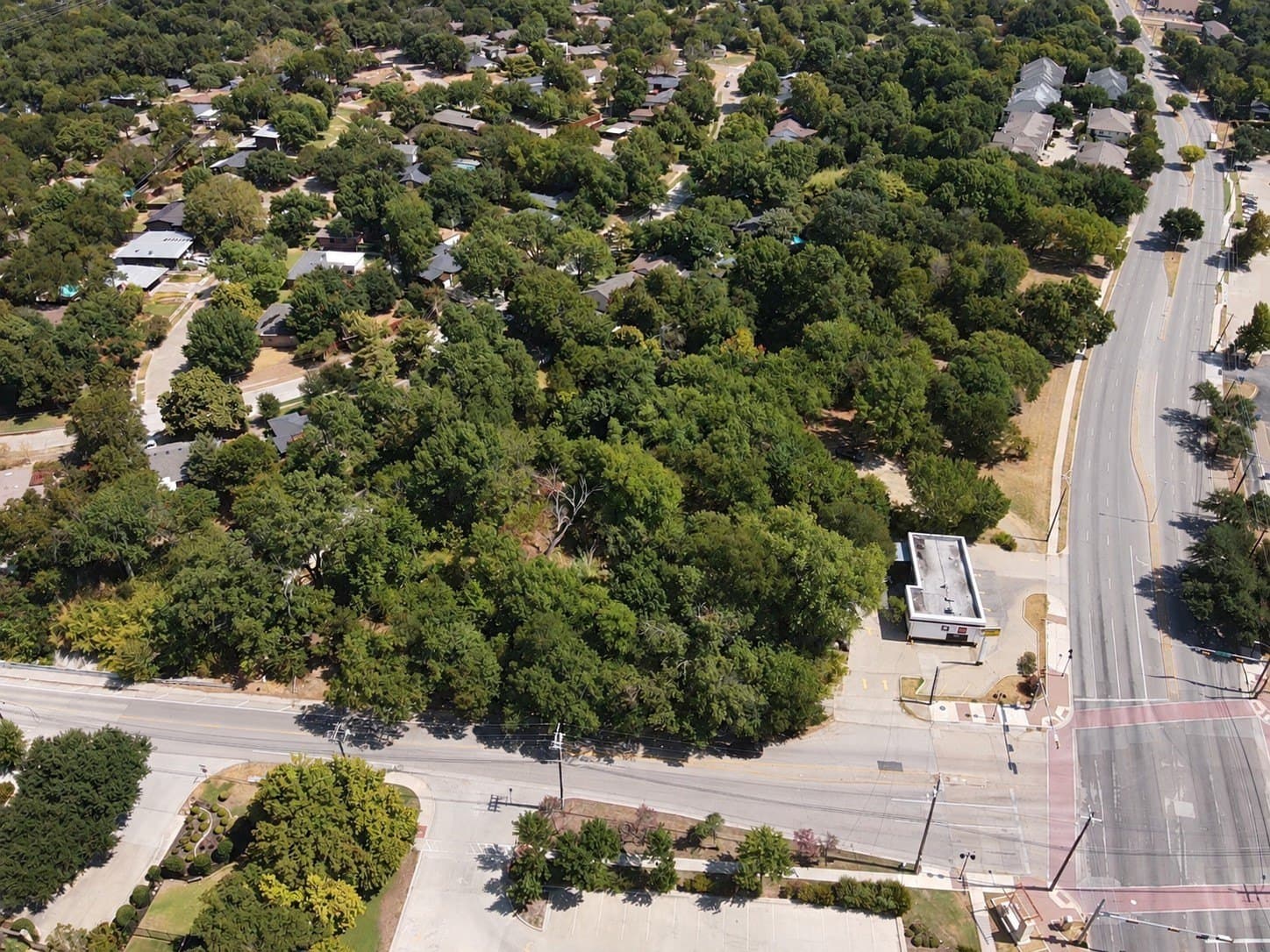 4.1 acres in Dallas County - photo 6