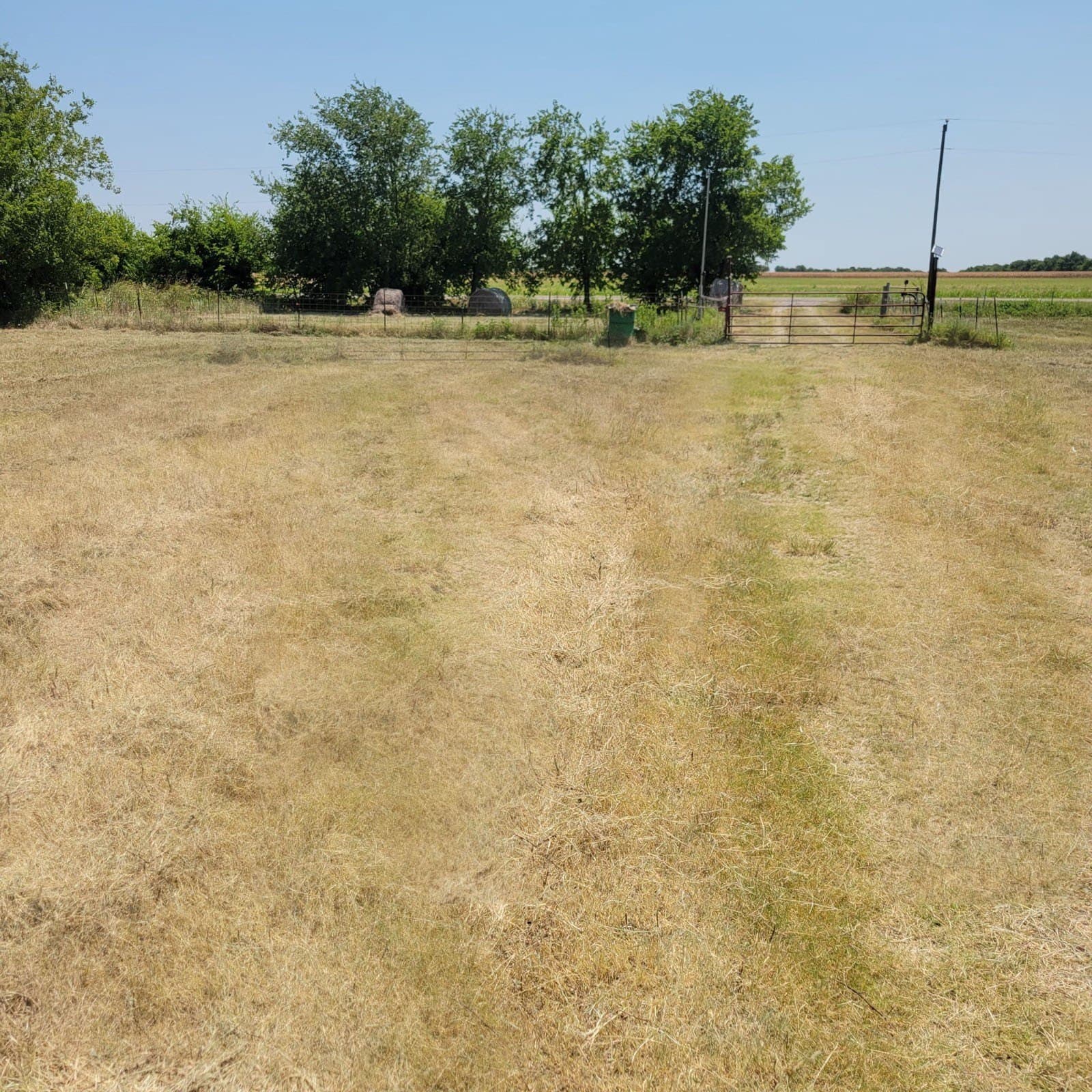 10.99 acres in Fannin County - photo 9