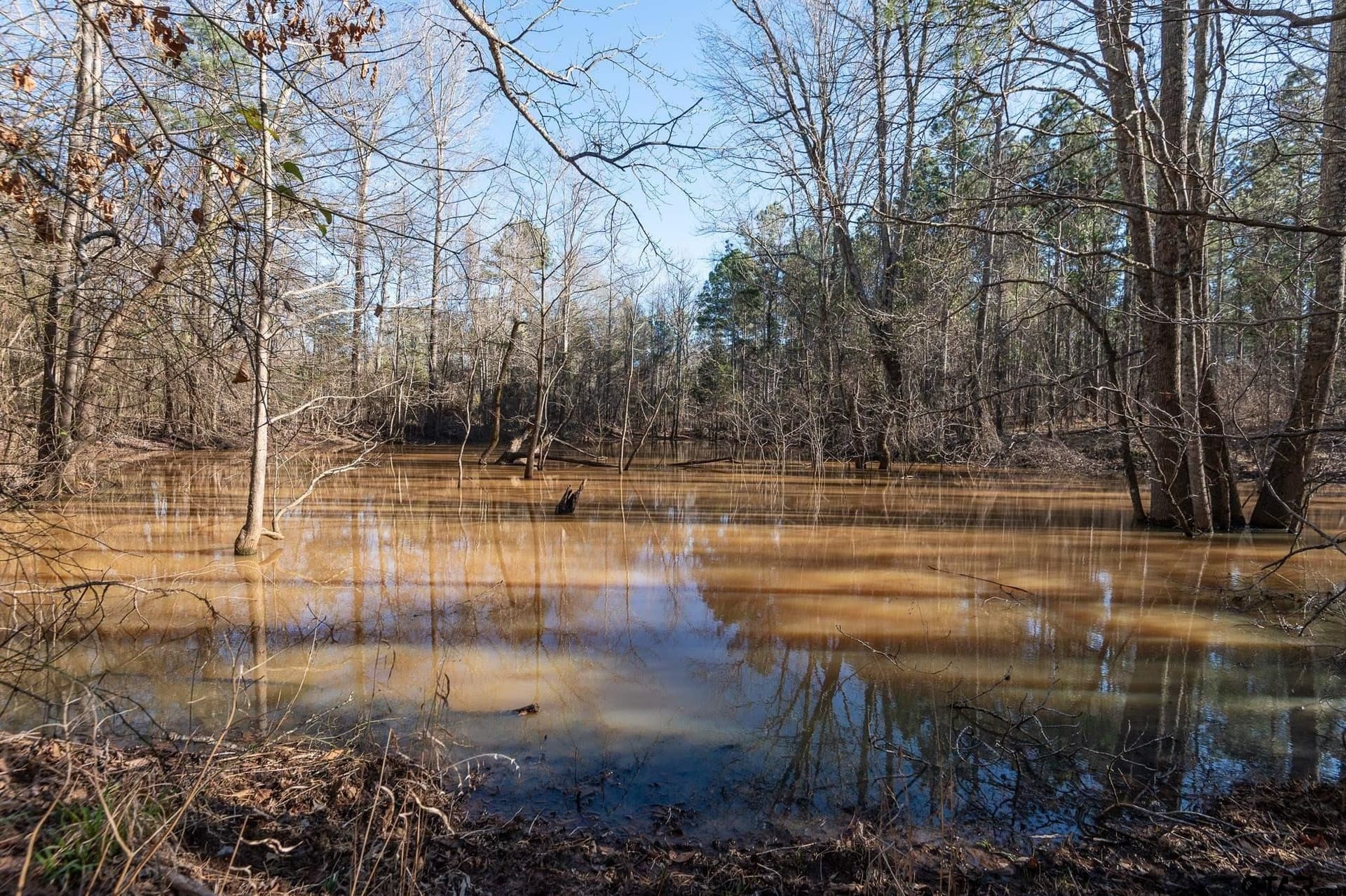228.8 acres in Van Zandt County - photo 19