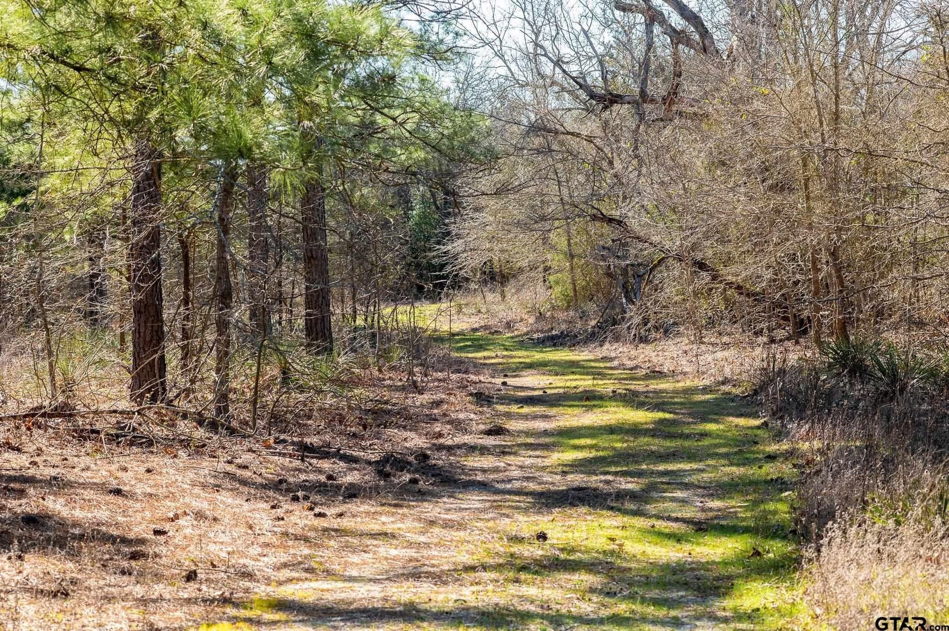 228.8 acres in Van Zandt County - photo 10