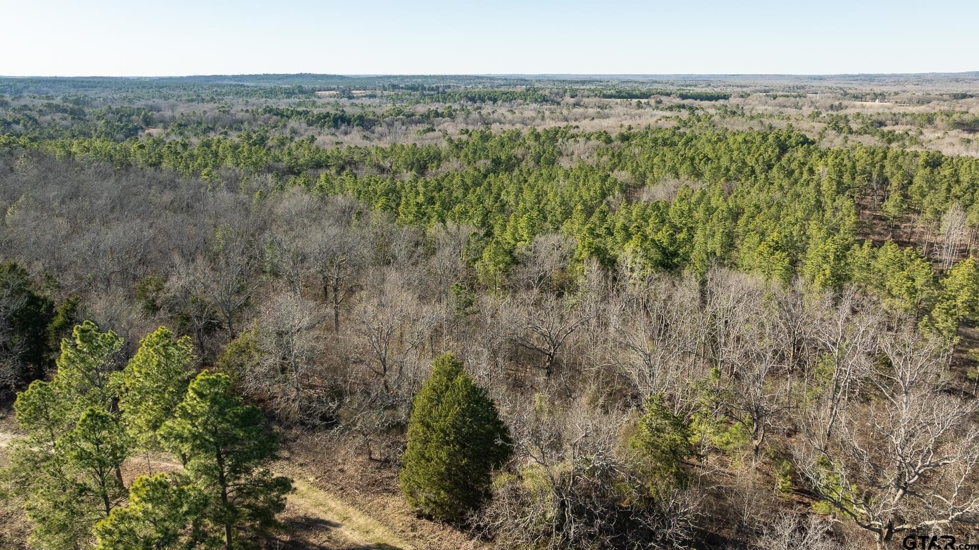 228.8 acres in Van Zandt County - photo 22