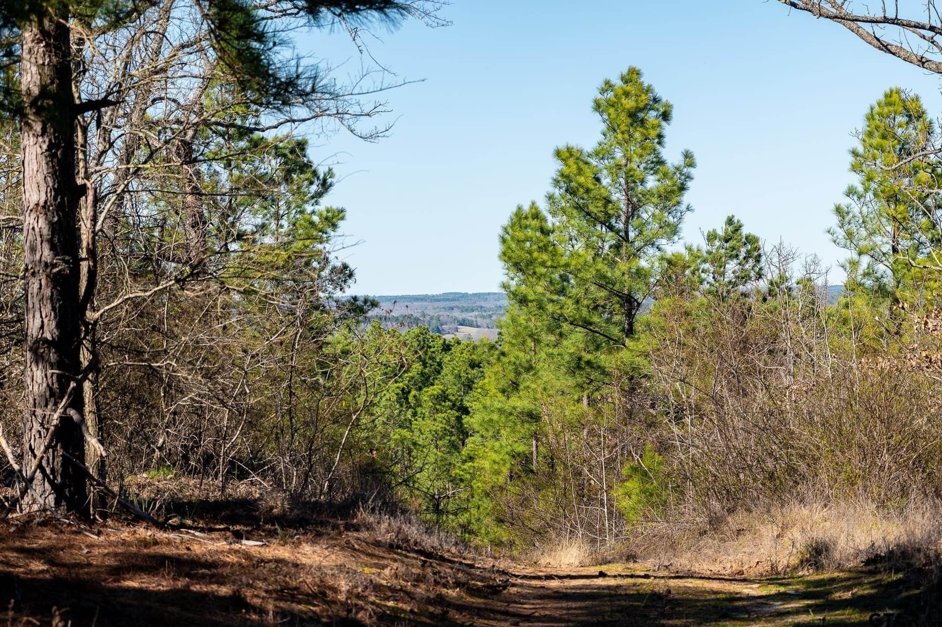 228.8 acres in Van Zandt County - photo 4