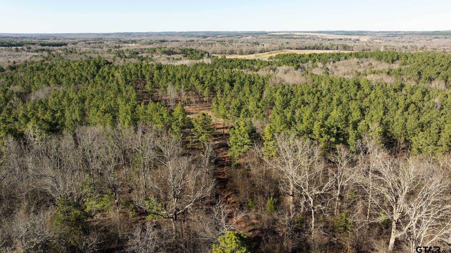 228.8 acres in Van Zandt County - photo 21