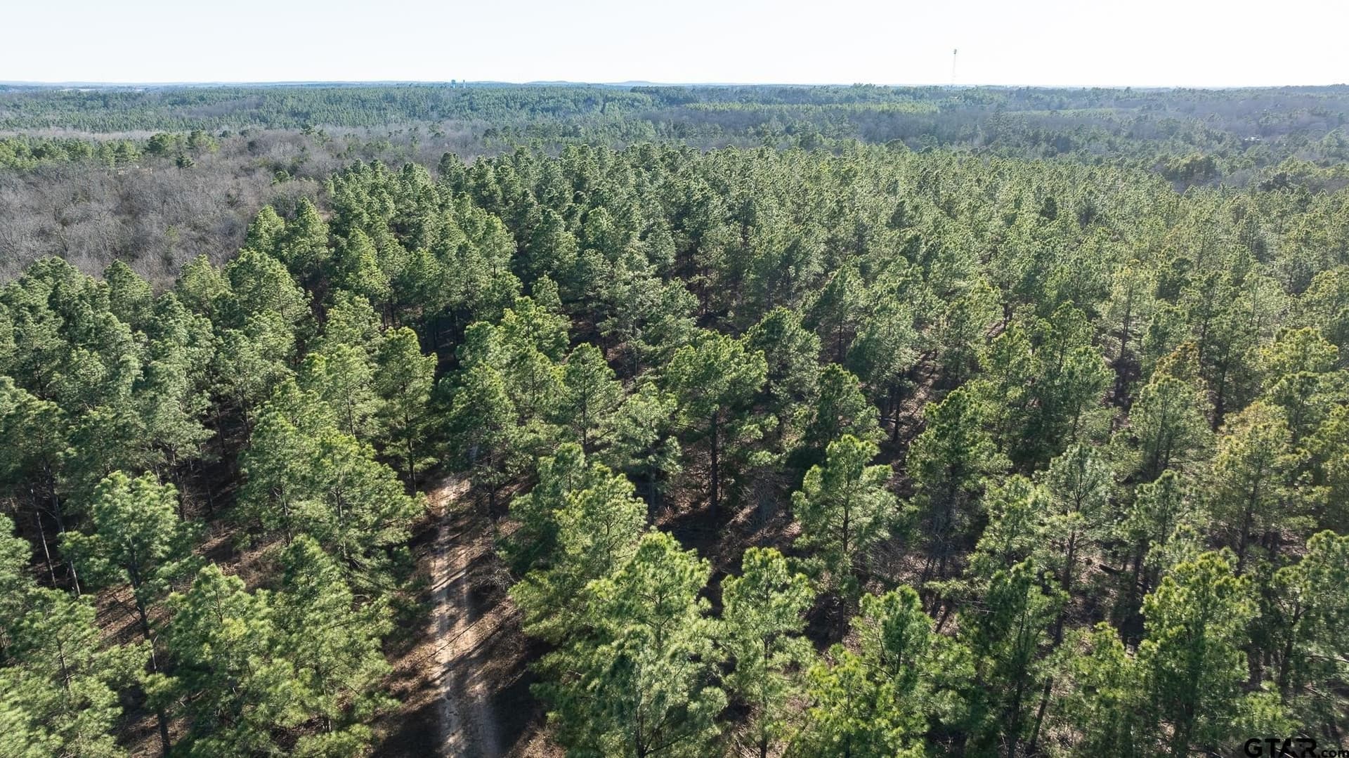 228.8 acres in Van Zandt County - photo 25