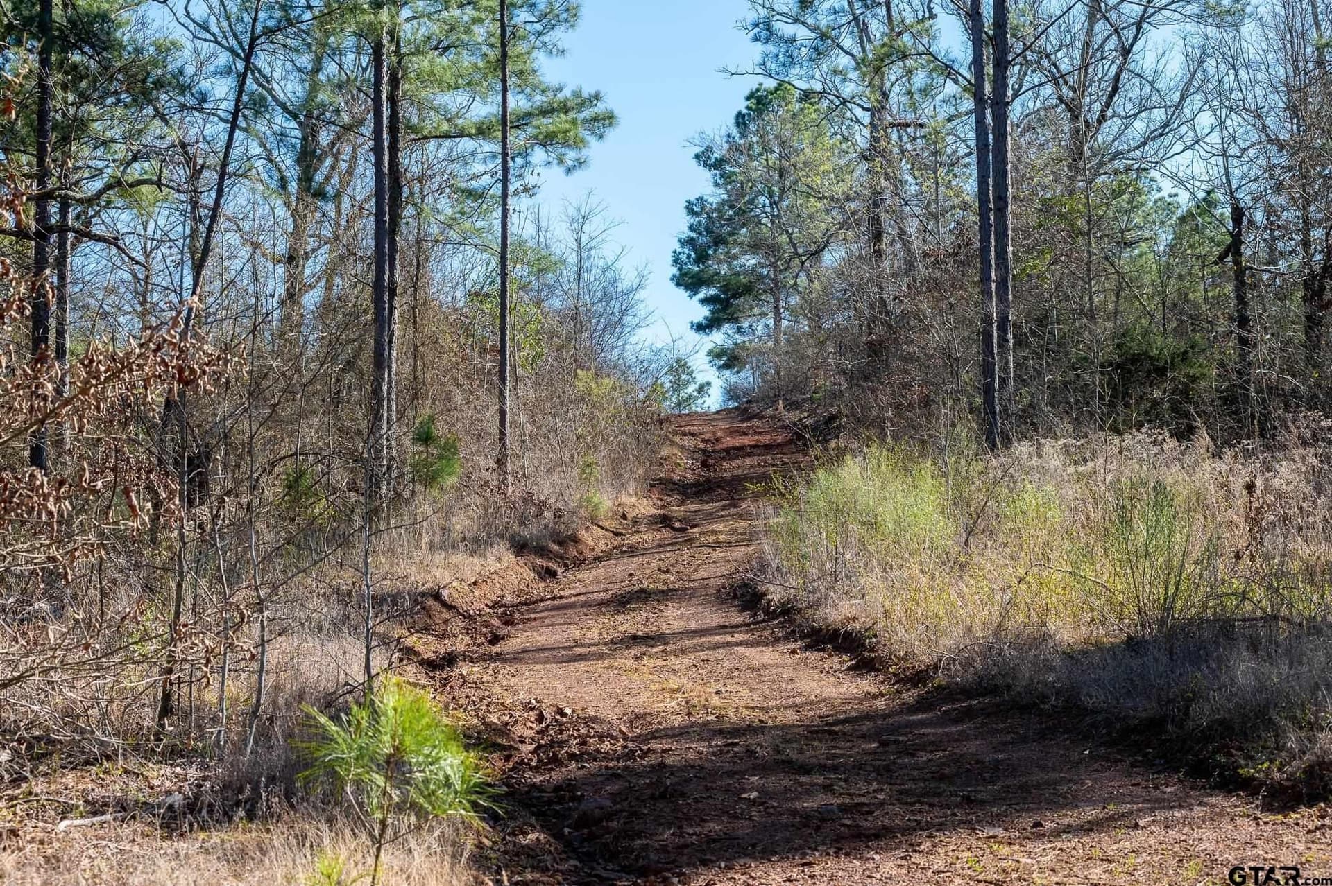 228.8 acres in Van Zandt County - photo 9