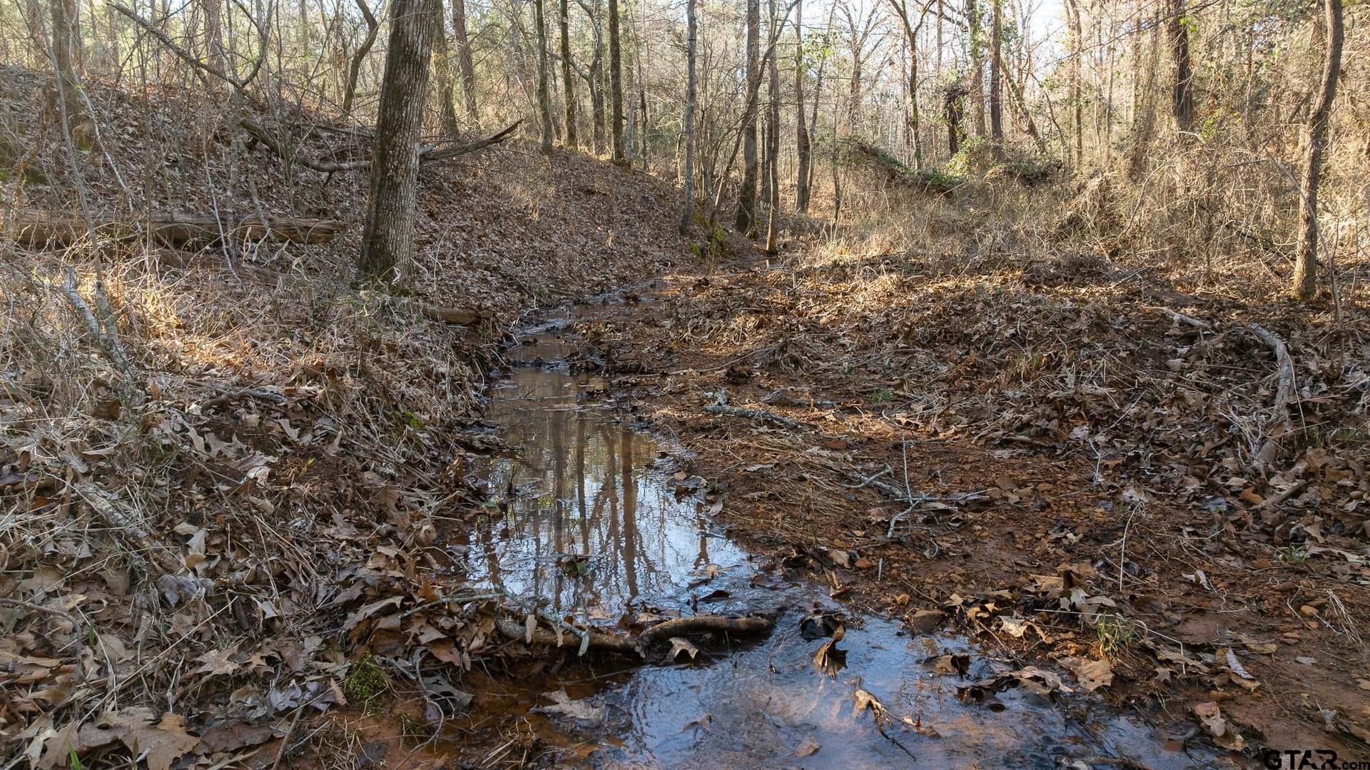 228.8 acres in Van Zandt County - photo 20