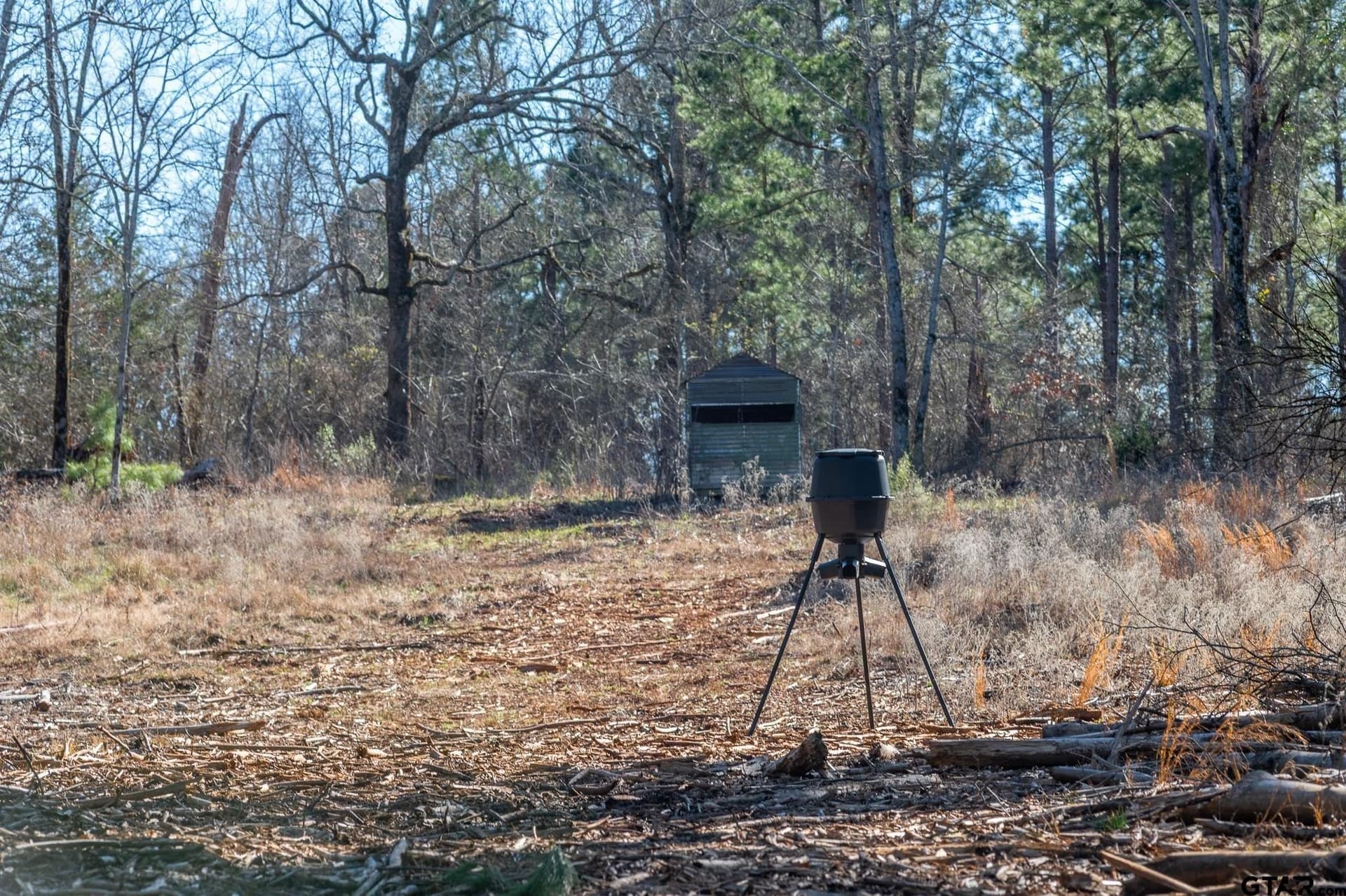 228.8 acres in Van Zandt County - photo 6