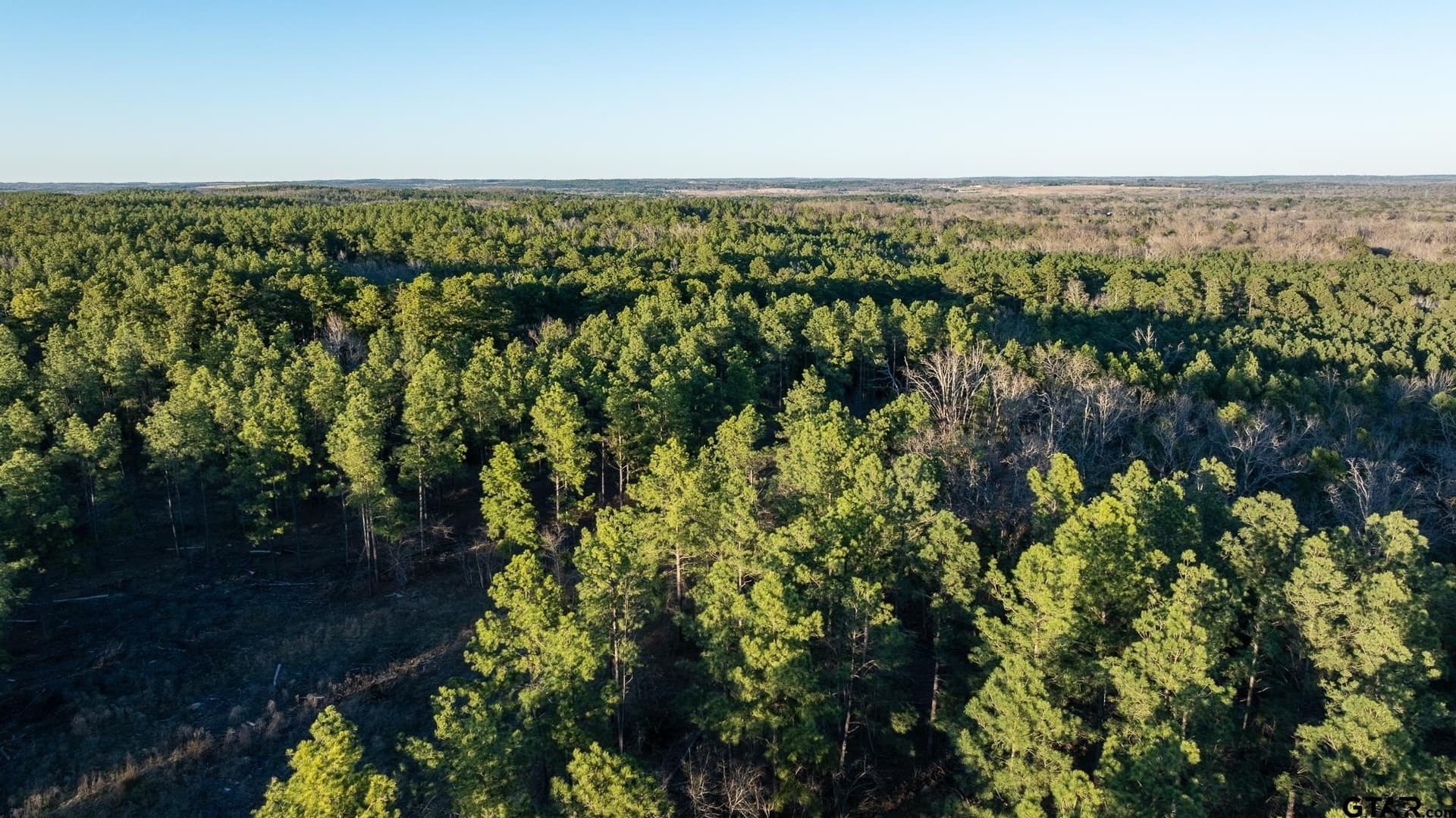 228.8 acres in Van Zandt County