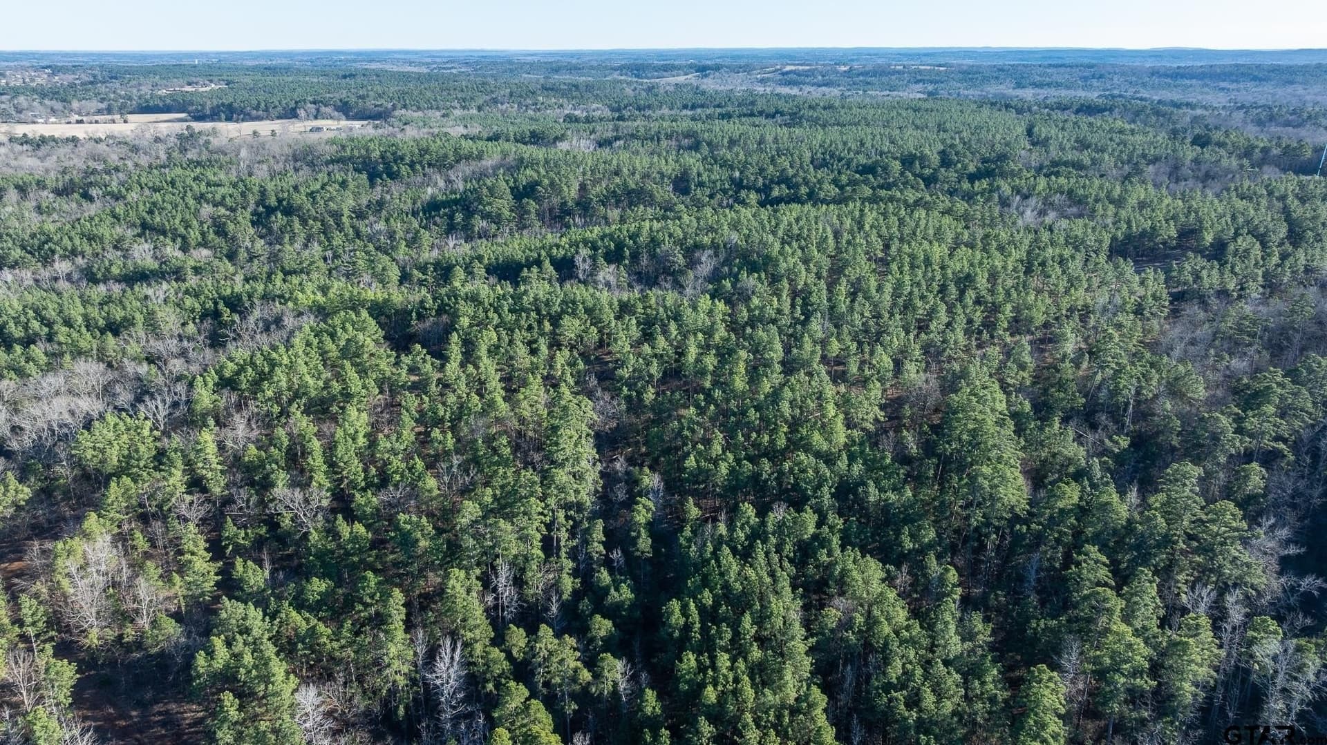 228.8 acres in Van Zandt County - photo 26